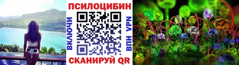 Купить  Черняховск  Псилоцибиновые грибы прущие грибы 